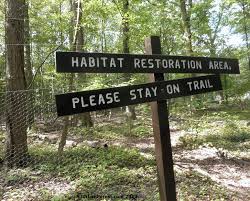 habitat-restoration.jpg